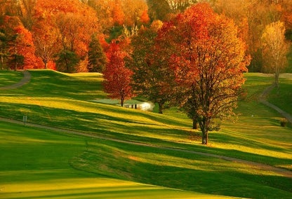 Fall trees on a golf course in Kentucky